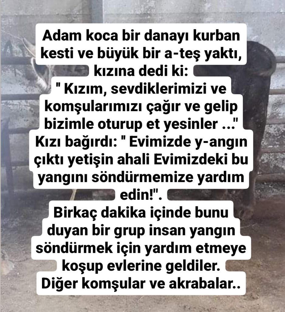 Adam koca bir danayı kurban k-esti